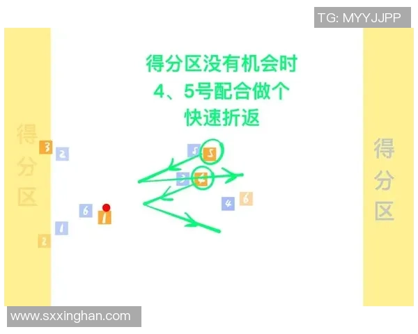 飞盘运动新手指南从零起步掌握战术与技巧的全面攻略