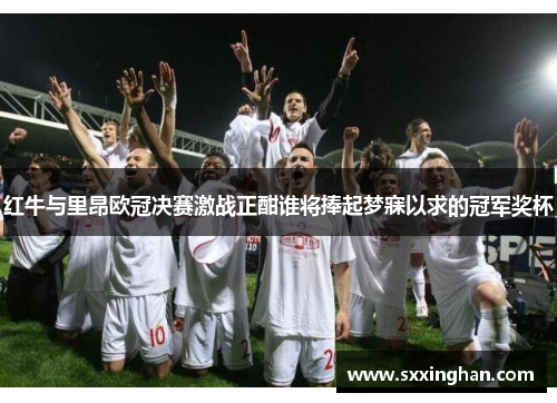 红牛与里昂欧冠决赛激战正酣谁将捧起梦寐以求的冠军奖杯